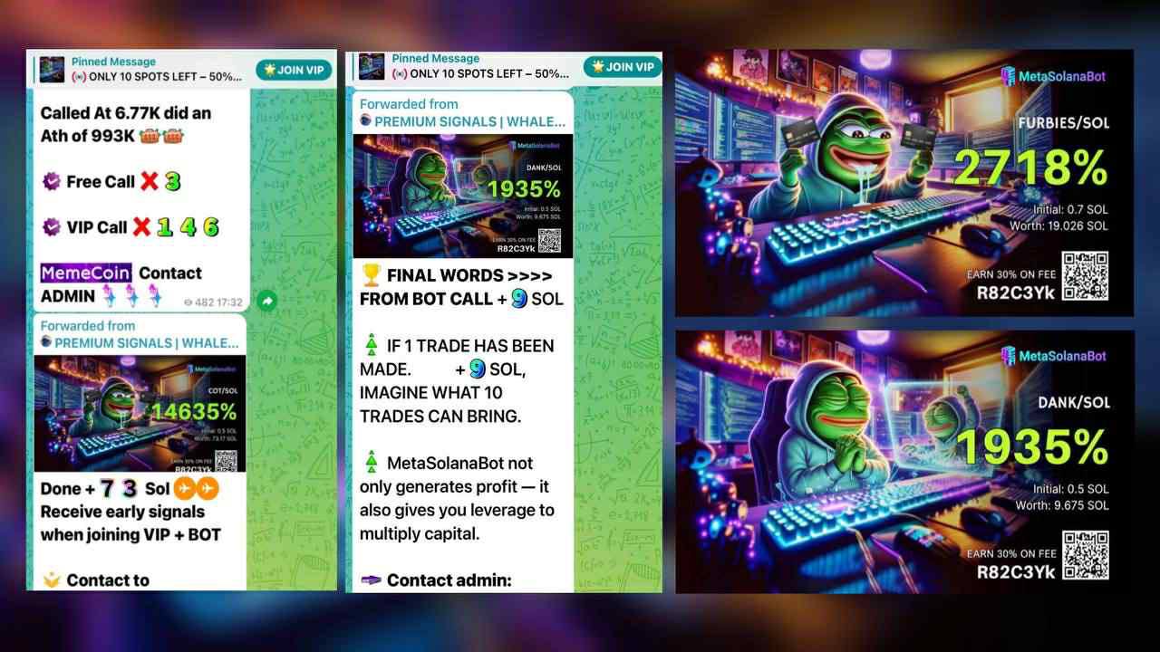 ๐ WhaleSignal Meme Coin