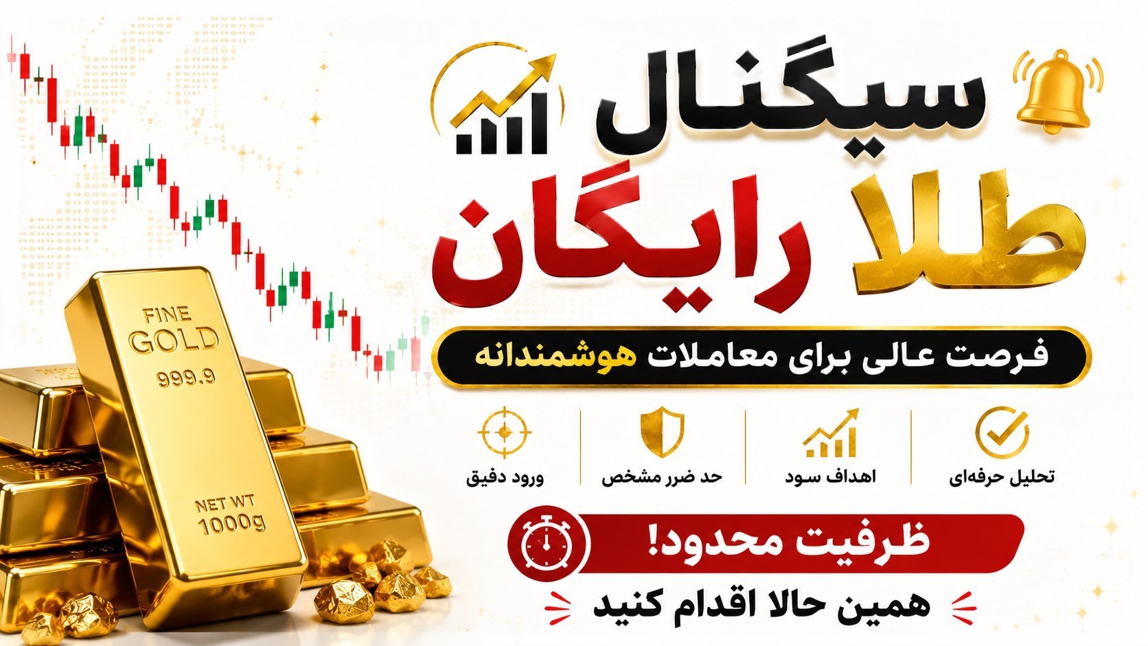 شركة ذوالفقار التجارية الرسمية