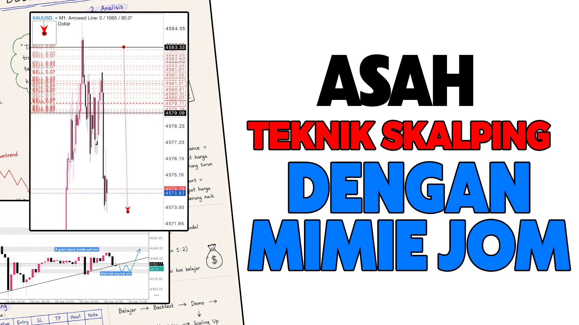 MIMIE SCALPING DERHAKA