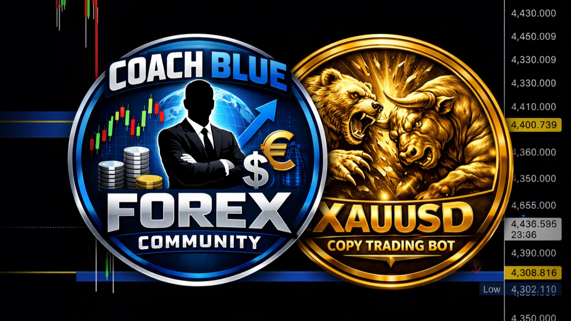 Copy trading with coach blue forex